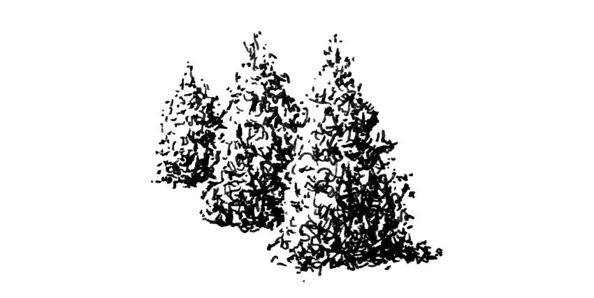 image - 2026-08-12T175024.839.png