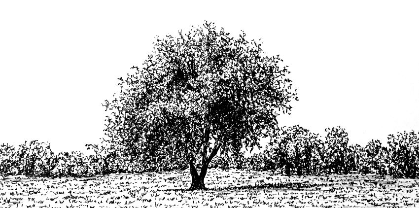 image - 2026-08-12T175433.917.png