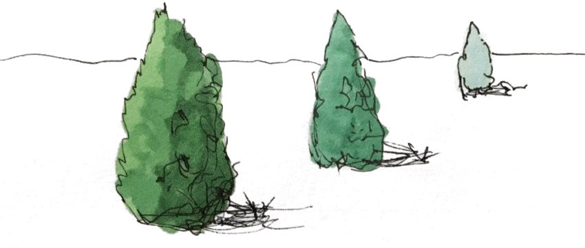 image - 2026-08-12T180629.148.png